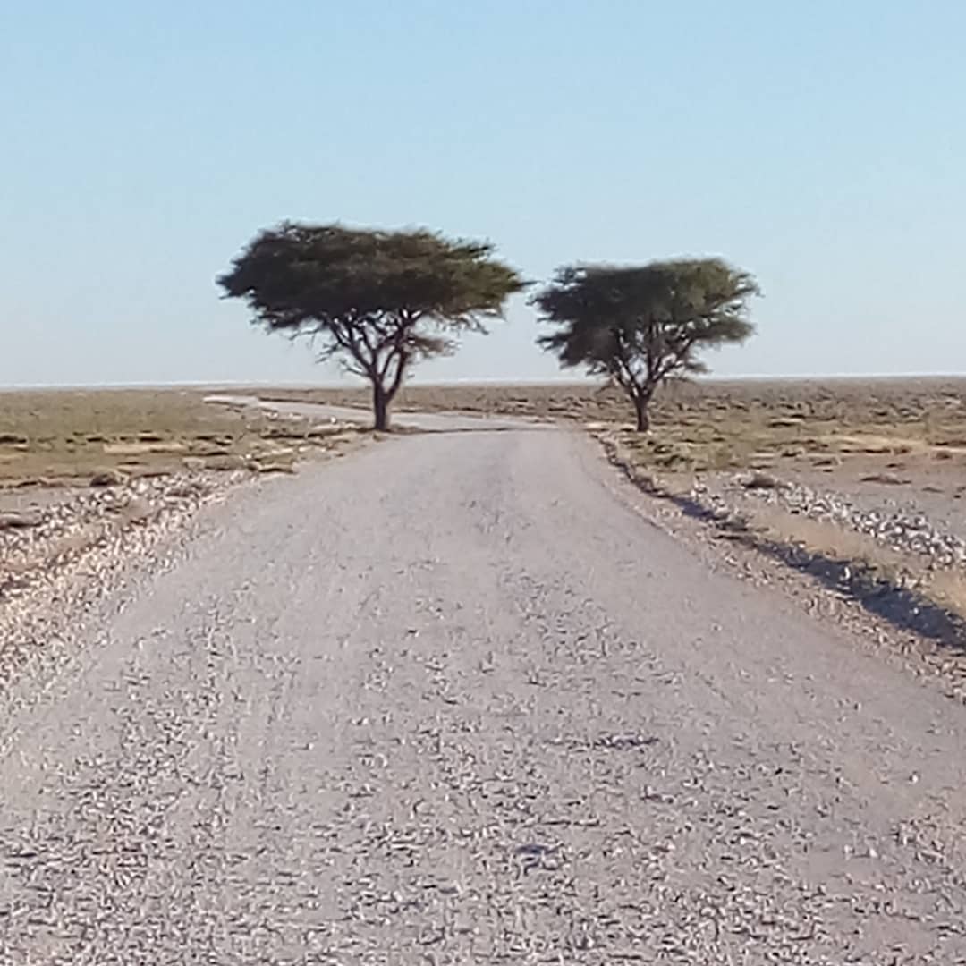 To Sossusvlei